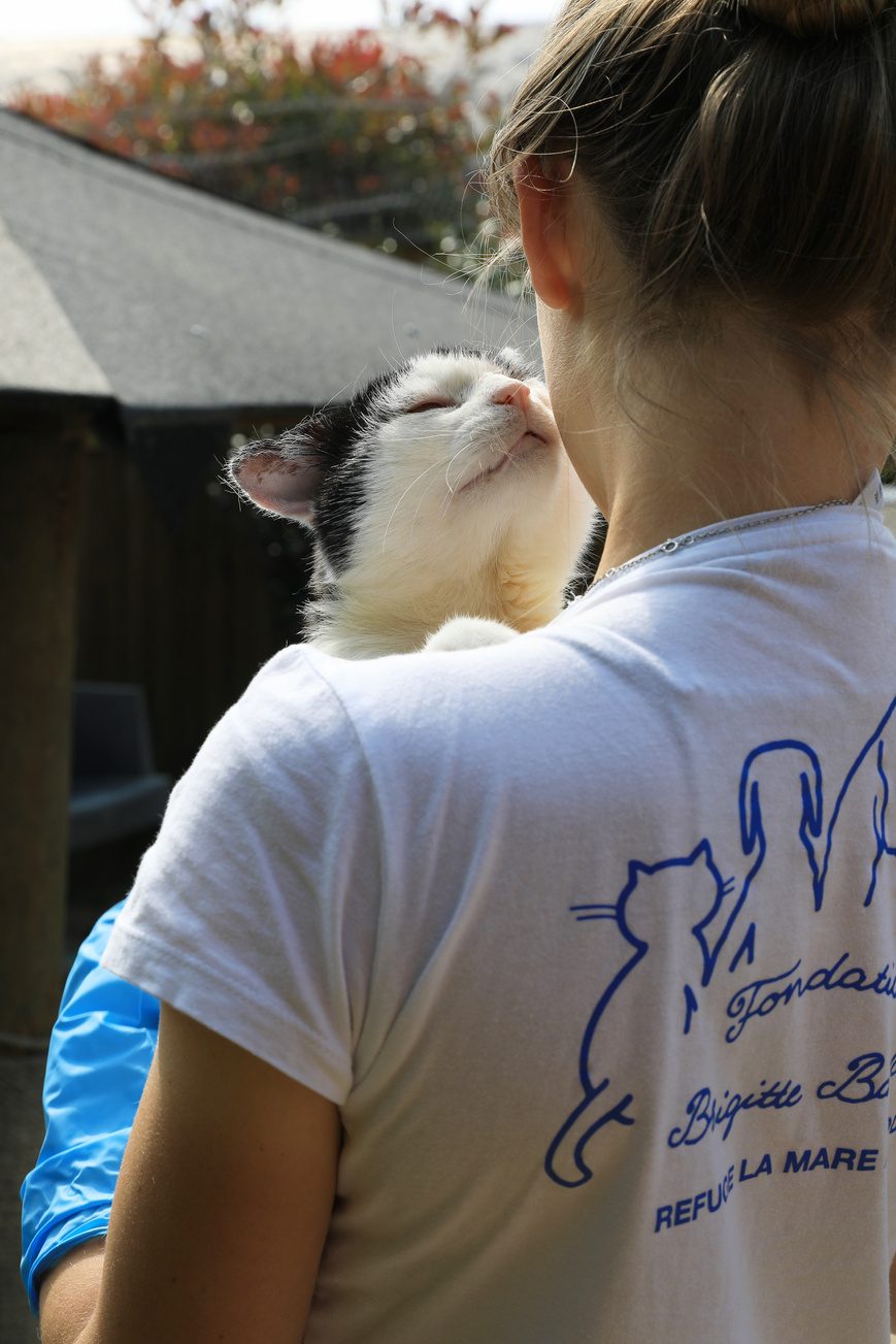 Un mois environ de nourriture