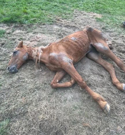 Une participation aux enquêtes