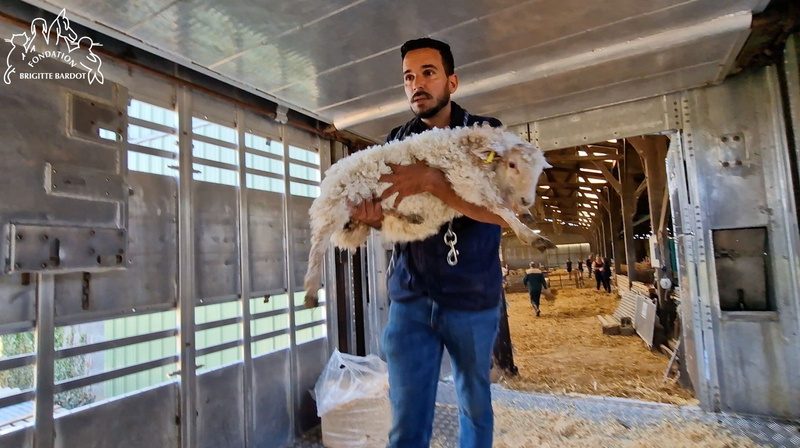 Une participation à nos missions